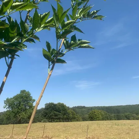 Aux Fines Bulles Et D Hotes Neuve-Maison