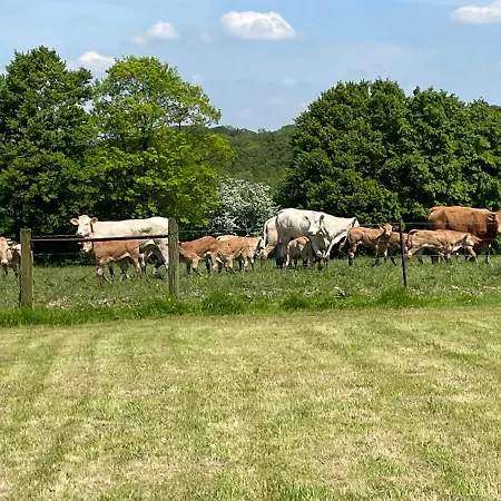Aux Fines Bulles D Hotes